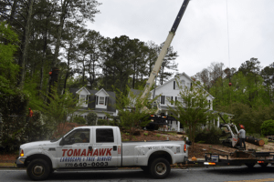 Tree Removal 300x200 - Services