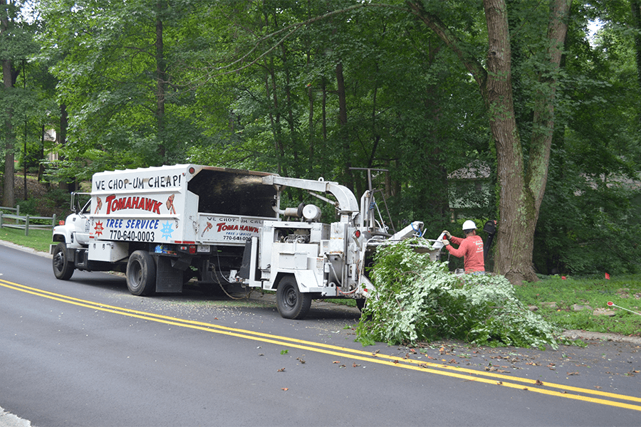 Tomahawk Emergency Tree Service is removing a tree from a truck.