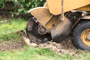 stump-grinding