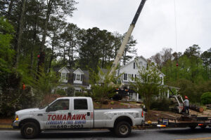 treeremoval 300x200 - Tree and Limb Removal