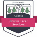 Atlanta's Best Tree Service Award to Tomahawk Tree Service