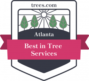 Atlanta's Best Tree Service Award to Tomahawk Tree Service