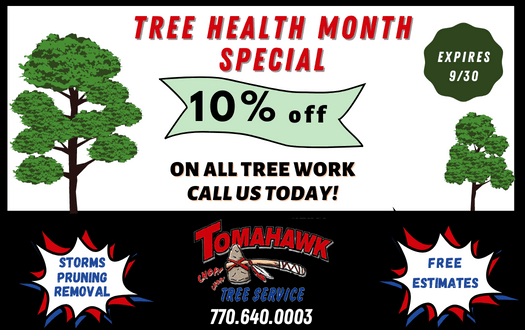 Tomahawk Tree Service Special Offer National Tree Health Month