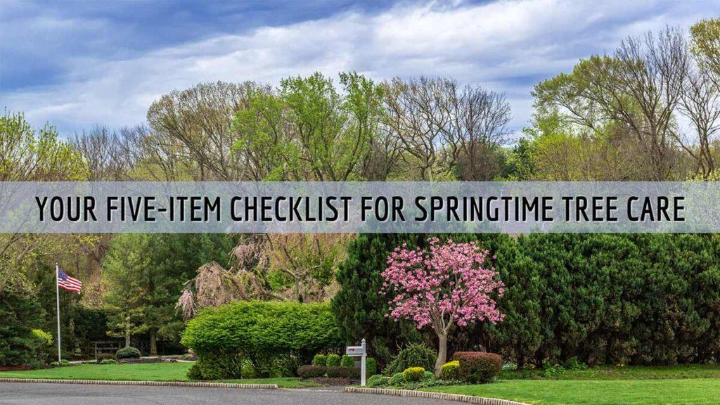 Spring Tree Care for Homeowners Tomahawk Tree Service Atlanta Georgia 1 1024x576 - 5 Springtime Tree Care Tips in Atlanta