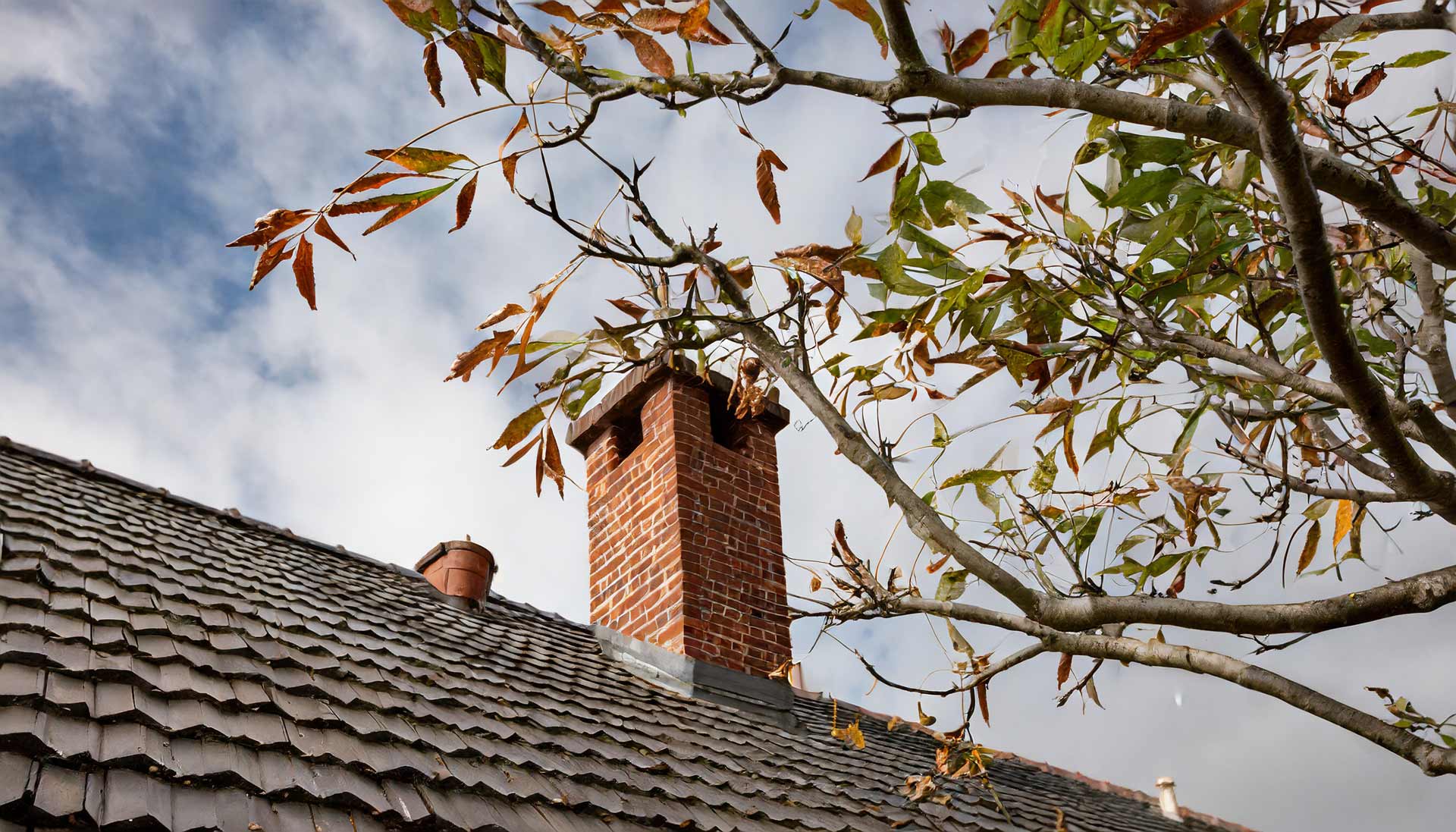 Keeping Tree Limbs At A Safe Distance to Prevent Chimney Fires - Keeping Tree Branches Away from Chimneys